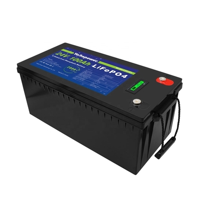 100Ah 150Ah 200Ah 300Ah 24v Lifepo4 Bms . के साथ बैटरी